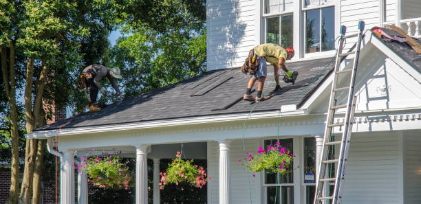 Best Roof Gutter Cleaning  in Eastport, ME