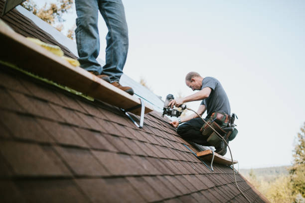 Best Gutter Installation and Roofing  in Eastport, ME